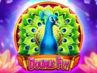 Double Fly game cover