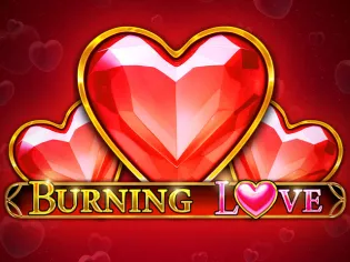 Burning Love game cover